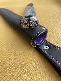 "Степняк в Винограде"