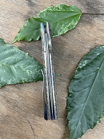 "Трёхлистник" 